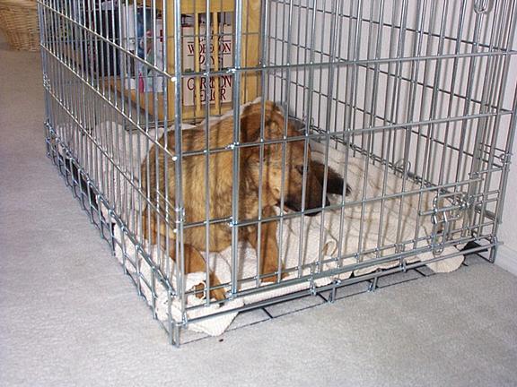 one month in jail.jpg